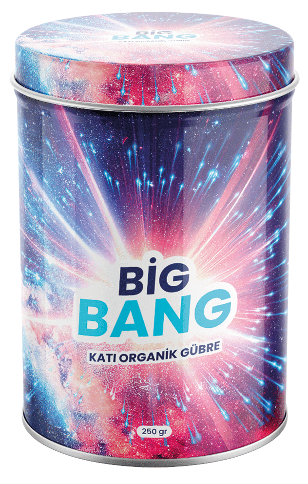 BİG BANG (BİTKİSEL MENŞELİ AMİNOASİT İÇEREN KATI ORGANİK GÜBRE)