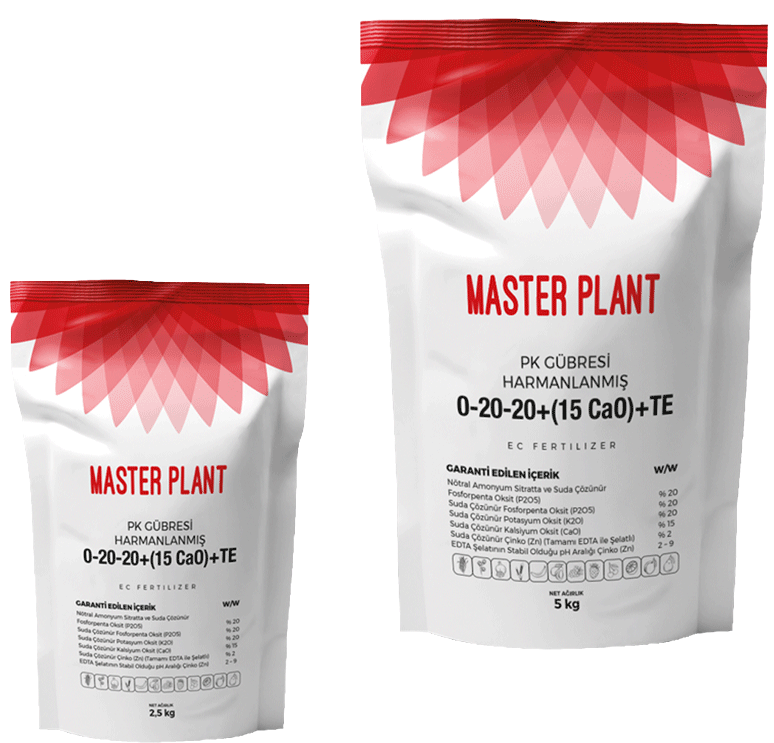 MASTER PLANT 0-20-20+(15 CaO)+TE