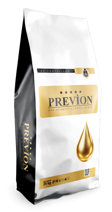 PREVİON 16-8-24